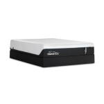 TEMPUR-ProAdapt Plush Mattress California King California King 11
