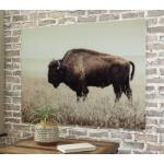 Brutus Wall Art - Image 3