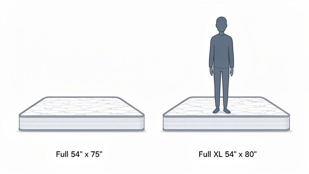 Illustration comparing Full 54x75 and Full XL 54x80 mattress dimensions with a person for scale.
